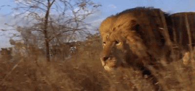 微信圖片_20200728163232.gif