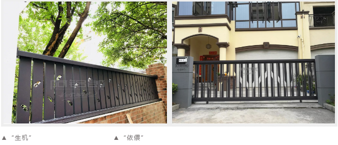 ueditor/5674/image/20190925/5d8abcc6bfbcd.jpg
